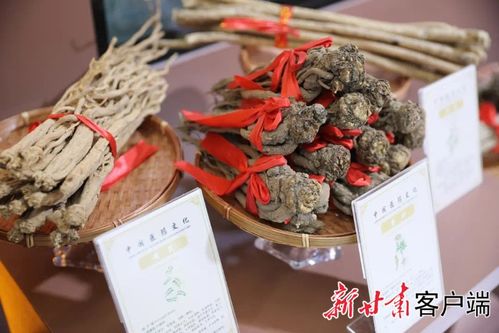 先睹為快 | 第三十屆蘭洽會生物醫藥館布展工作圓滿完成，生物制品領域亮點紛呈