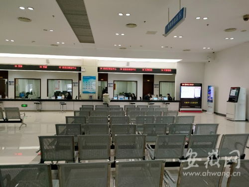 虎年開工首日探訪 安徽省政務服務中心窗口人員堅守崗位，熱情服務暖人心