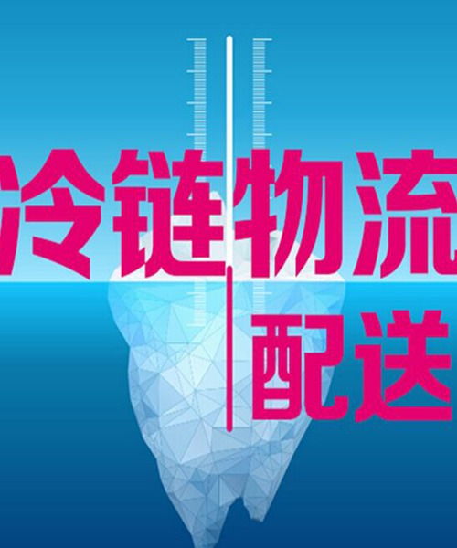 上海到天津冷藏物流公司 上海到天津冷鏈貨運(yùn)專(zhuān)線 秋果供